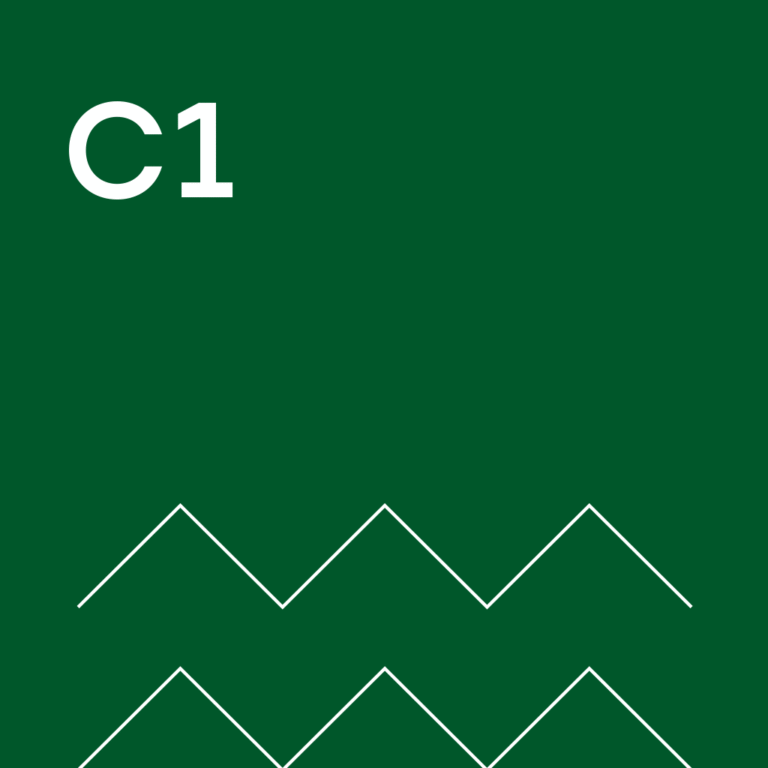 Curso inglés C2