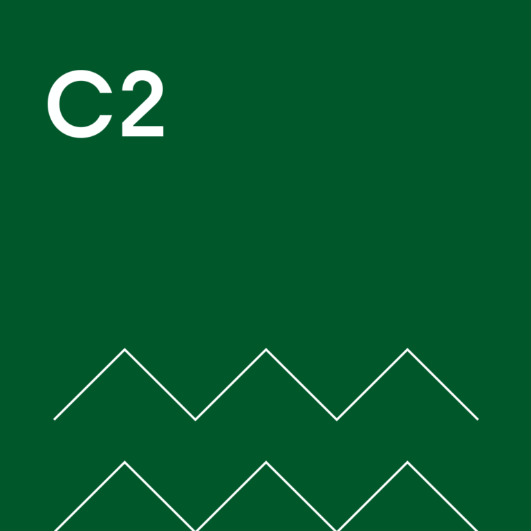 Curso inglés C2
